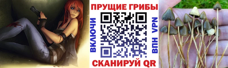 дарк нет наркотические препараты  Калтан  Галлюциногенные грибы мицелий 